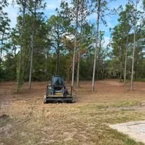 Cleared residential lot with heavy equipment and removed vegetation, pine trees remaining at perimeter