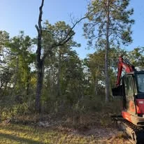 Excavator removing large tree from wooded area with operator in cab