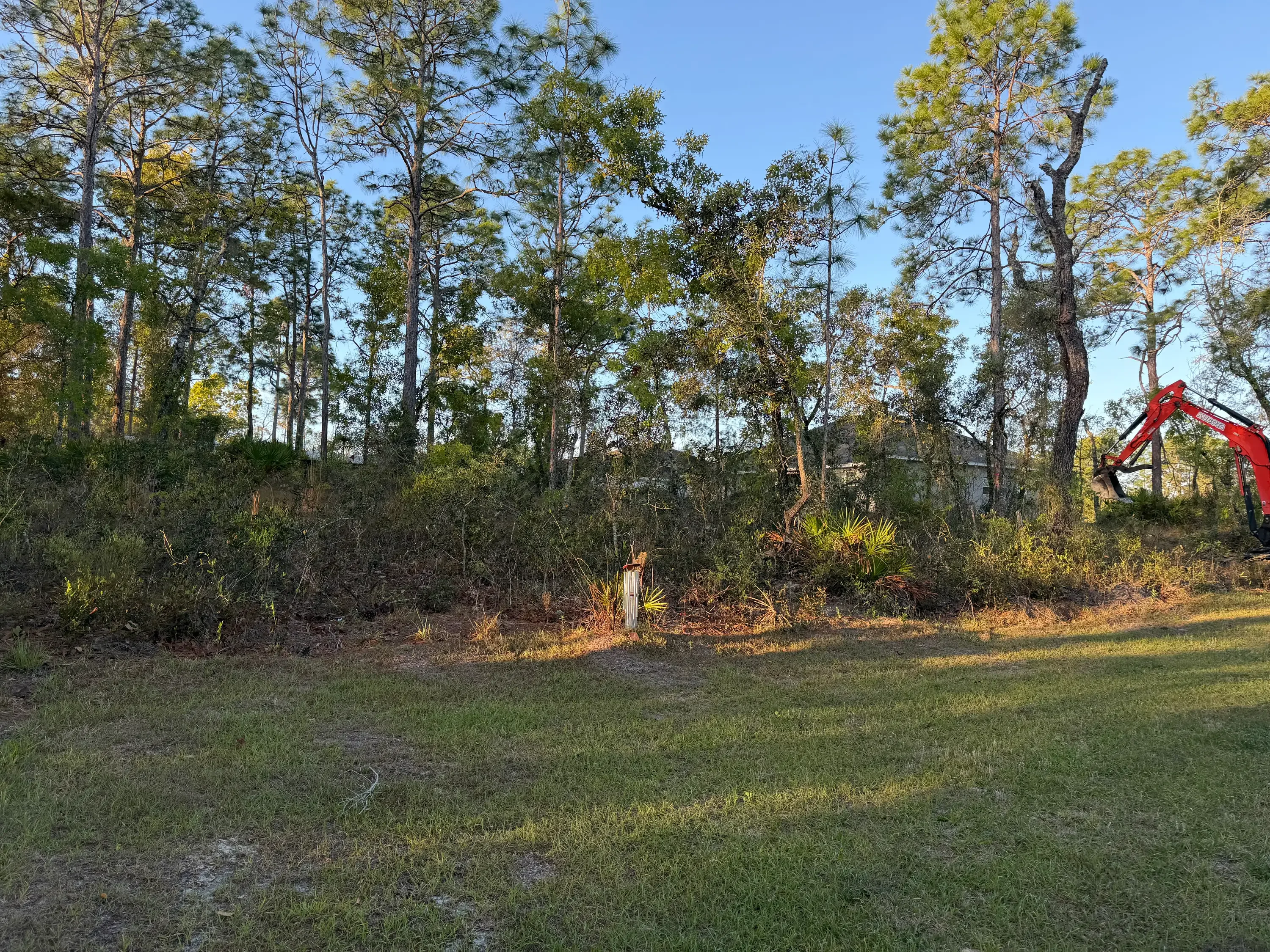 Land clearing with excavator removing brush and vegetation from wooded residential lot