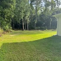 Graded residential lawn with level ground, mature trees, and cleared yard space