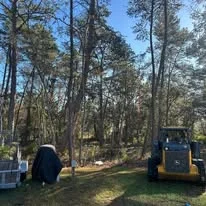 Cleared wooded lot with equipment and selective tree removal in progress