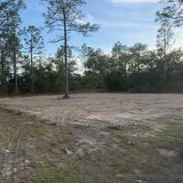 Cleared lot with removed vegetation, graded soil, and standing pine trees